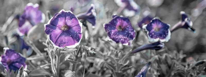 短信压力测试器免费网页版